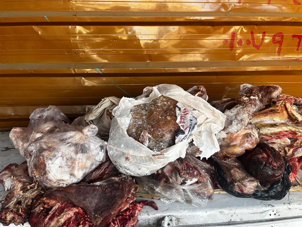 ضبط لحوم فاسدة بالأقصر 