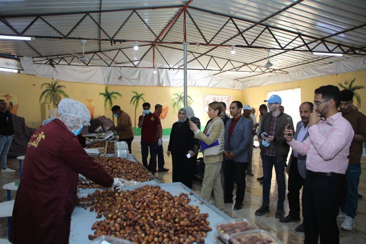 الدكتورة نوريا سانز المدير الإقليمي لمكتب مصر