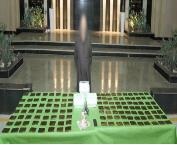 <strong>مصرع عنصريين جنائيين والقبض على آخرين خلال حملات مكثفة على مستوى الجمهورية</strong>