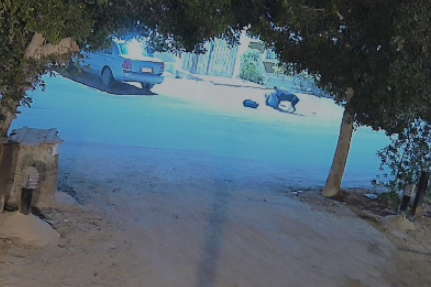 هجوم كلب شرس على طفل