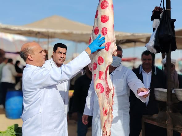 الزراعة تضبط لحوم غير صالحة