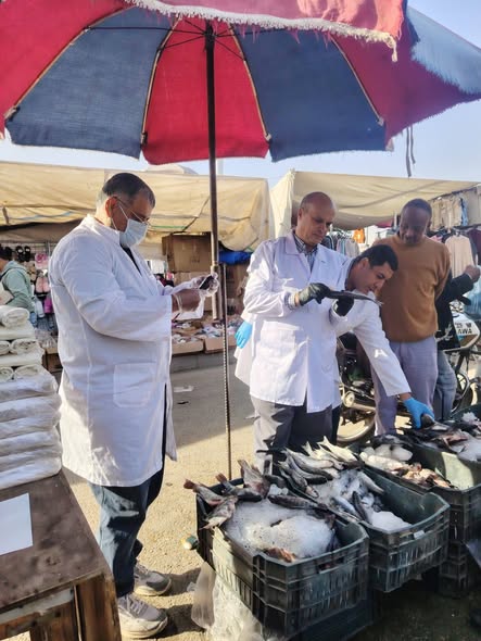 الزراعة تضبط لحوم غير صالحة