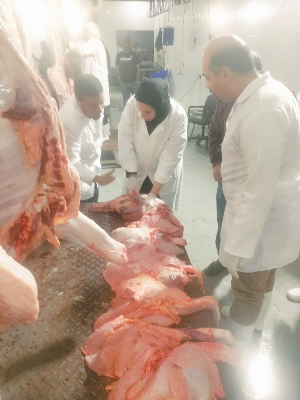 الزراعة تضبط لحوم غير صالحة