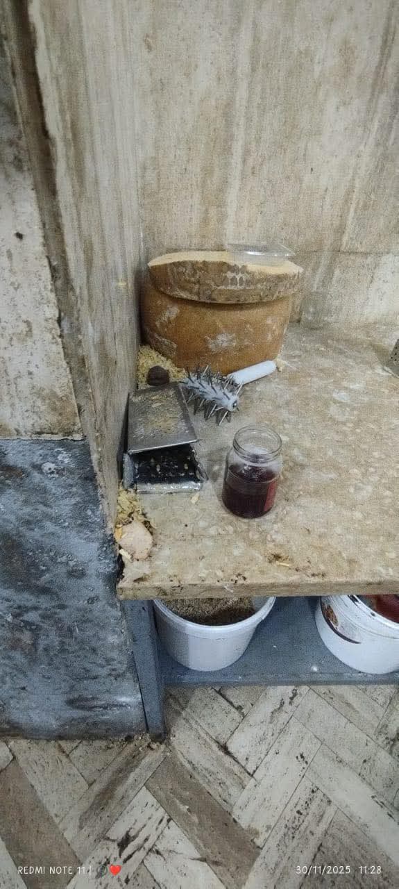 فرن بحي الشرق ببورسعيد 