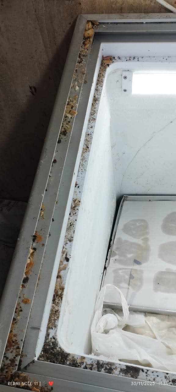 فرن بحي الشرق ببورسعيد 