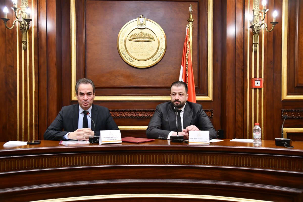 اجتماع لجنة الثقافة والإعلام بمجلس الشيوخ