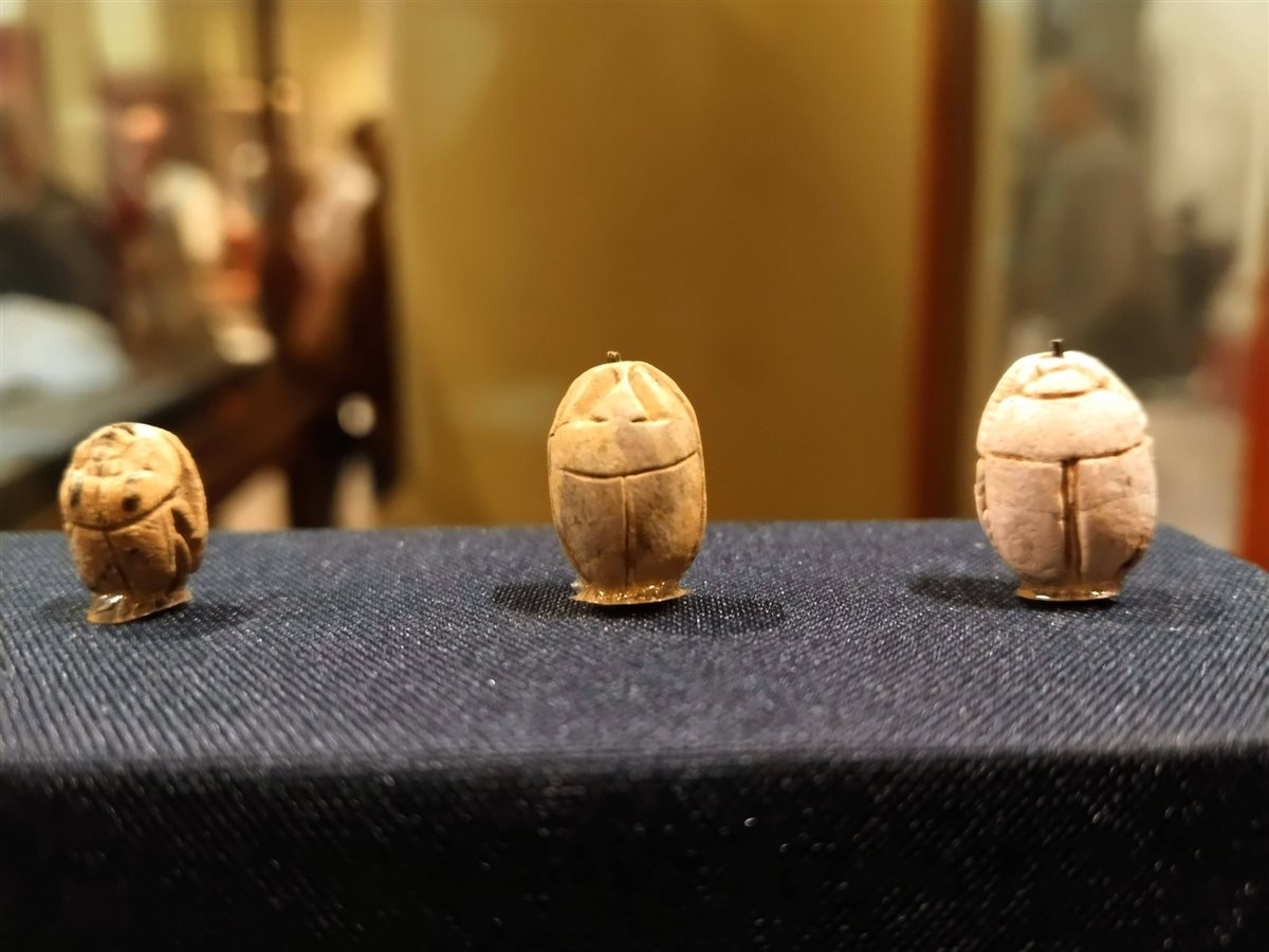 جعارين الملكة نفرتاري