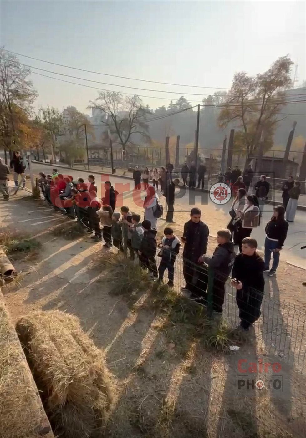 لأول مرة.. تحالف تطوير حديقة الحيوان يدرب العمال على التعامل مع الأفيال في جورجيا قبل قدوم 4 فيلة لمصر 