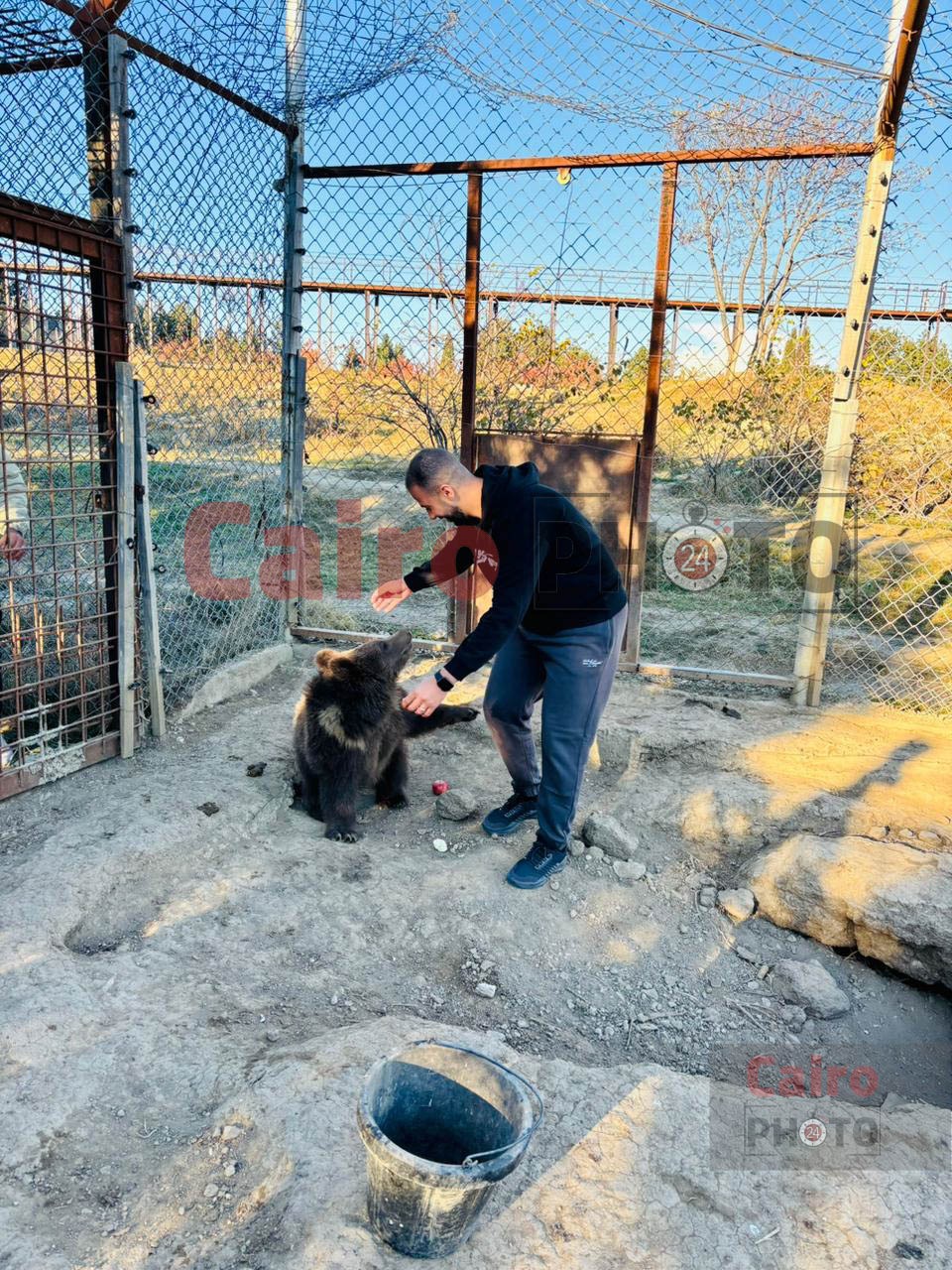 لأول مرة.. تحالف تطوير حديقة الحيوان يدرب العمال على التعامل مع الأفيال في جورجيا قبل قدوم 4 فيلة لمصر 