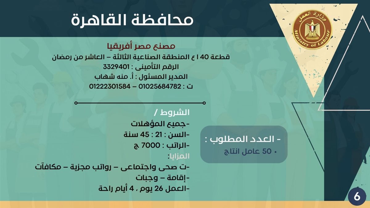 فرص التوظيف بمحافظة القاهرة