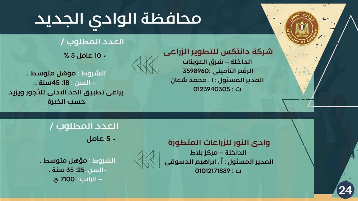 فرص التوظيف بمحافظة الوادي الجديد