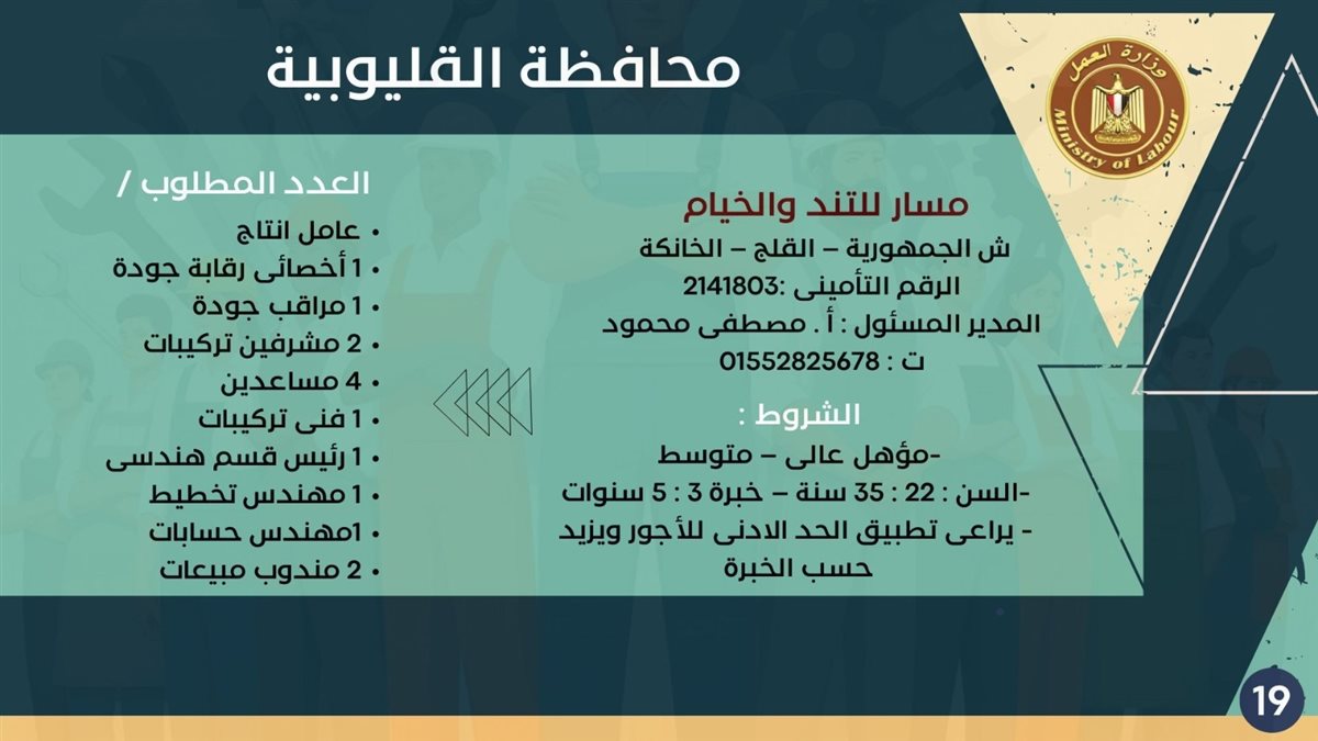 فرص التوظيف بمحافظة القليوبية