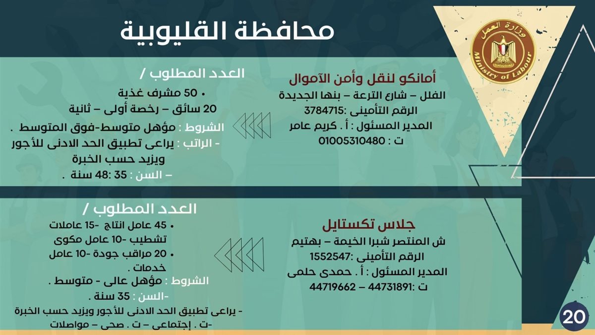 فرص التوظيف بمحافظة القليوبية