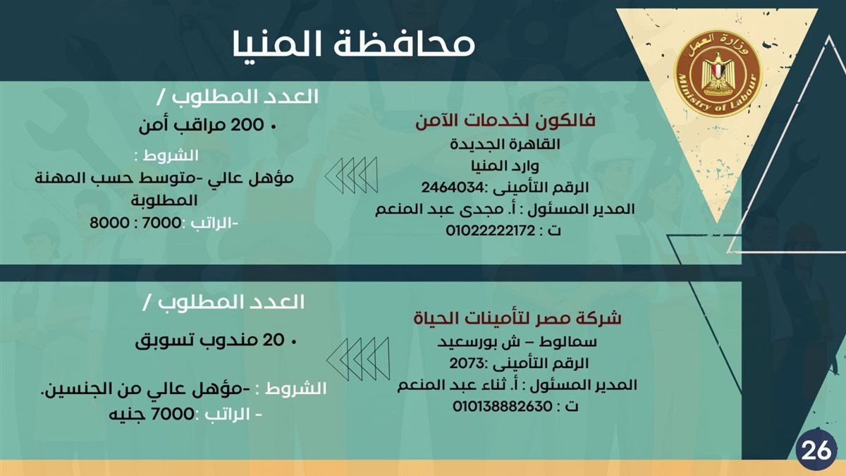 فرص التوظيف بمحافظة المنيا