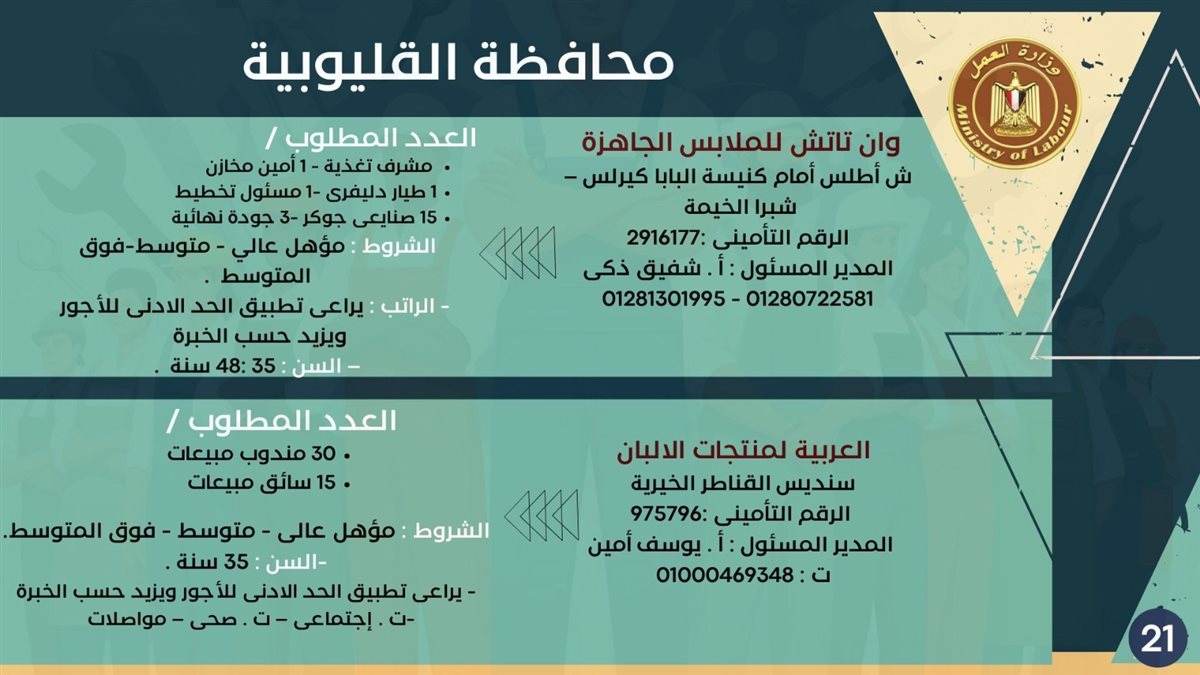 فرص التوظيف بمحافظة القليوبية