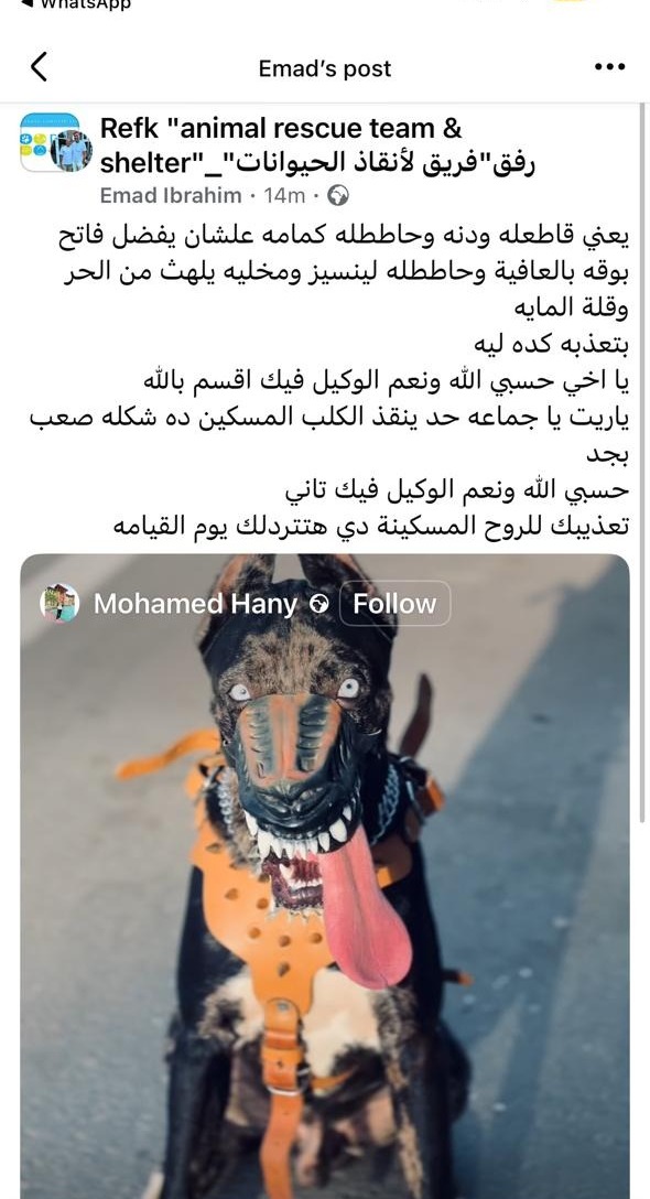 منشور عبر فسيبوك