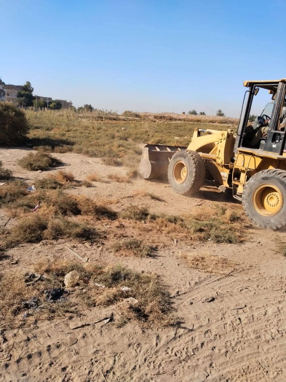 حملات نظافة بالمواقع الآثرية بالأقصر