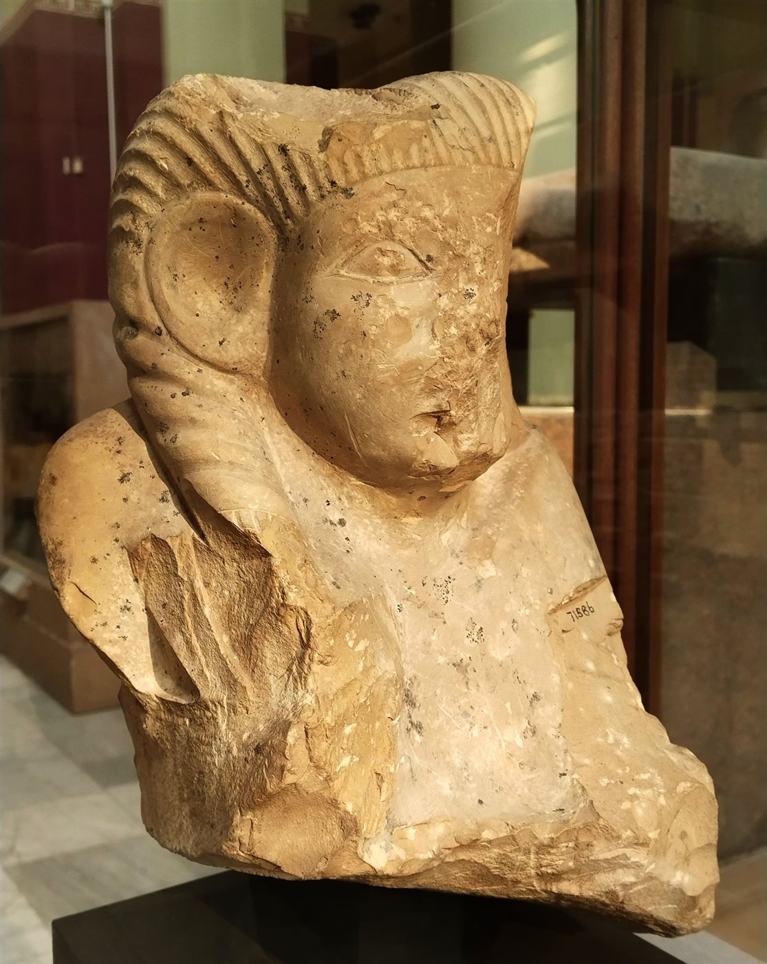 &nbsp;تمثال ملكة من عصر ما قبل الأسرات&nbsp;