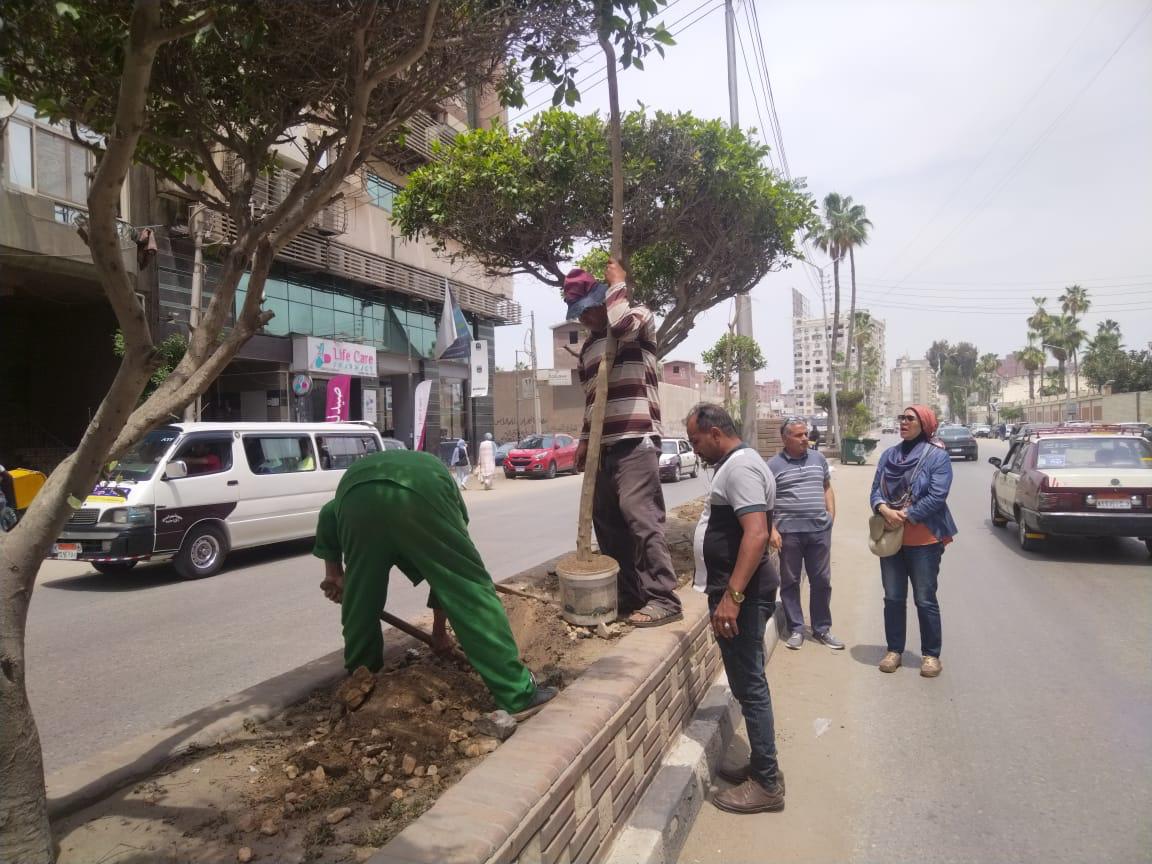 انطلاق المرحلة الرابعة من المبادرة الرئاسية 100 مليون شجرة