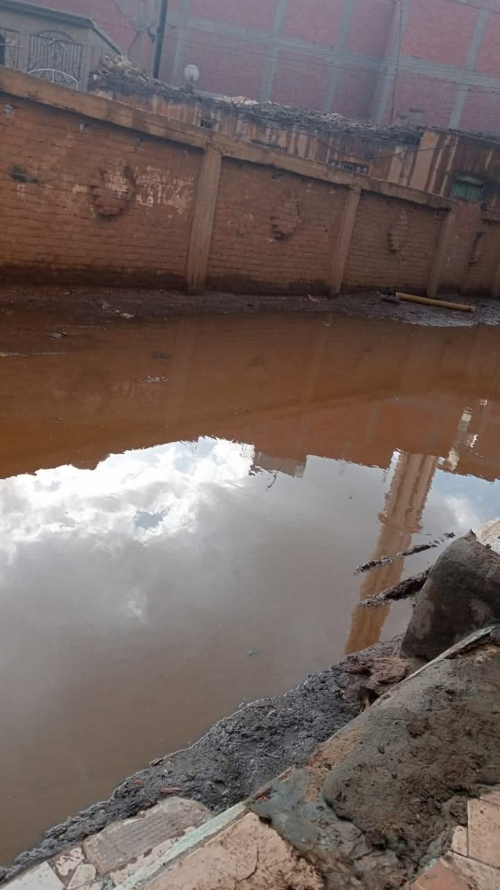 محليات المنوفية تتعامل مع تجمعات مياه الأمطار بقرى الباجور