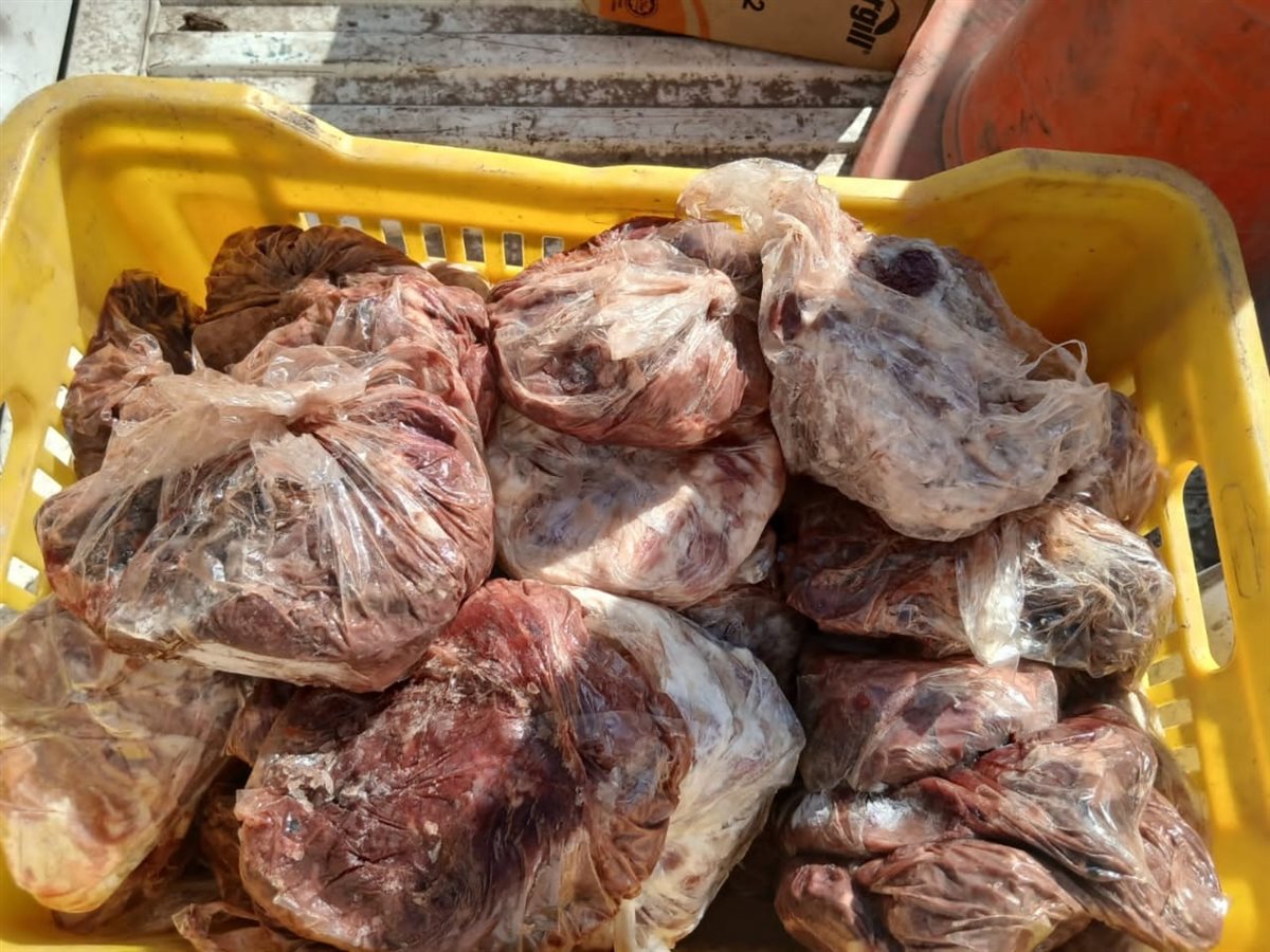 تحصين أكثر من 171 ألف رأس ماشية ضد مرضي الحمى القلاعية وحمى الوادي المتصدع