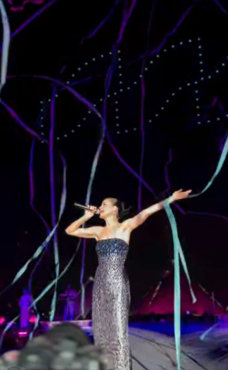 الفنانة الأمريكية <span style=