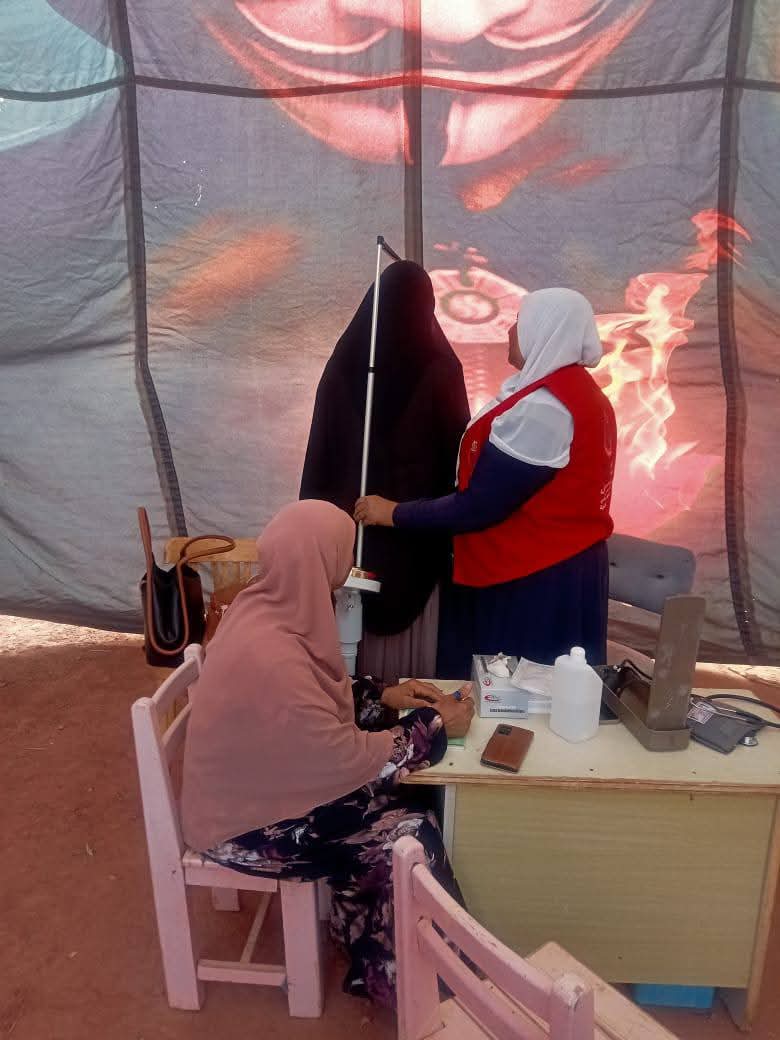 جانب من مبادرات صحة الوادى الجديد امام اللجان