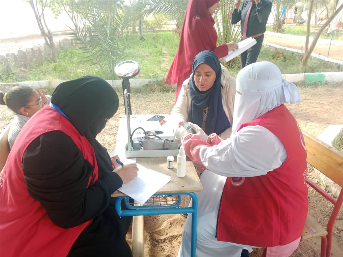 جانب من مبادرات صحة الوادى الجديد امام اللجان