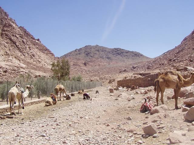 وادي الأربعين في سانت كاترين