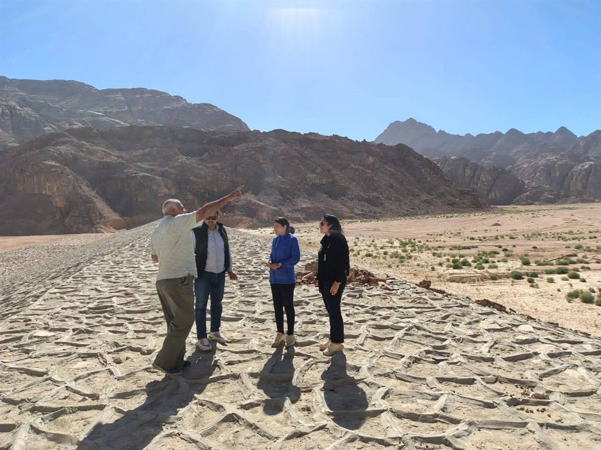 لجنة للمرور علي مخرّات السيول والبرابخ