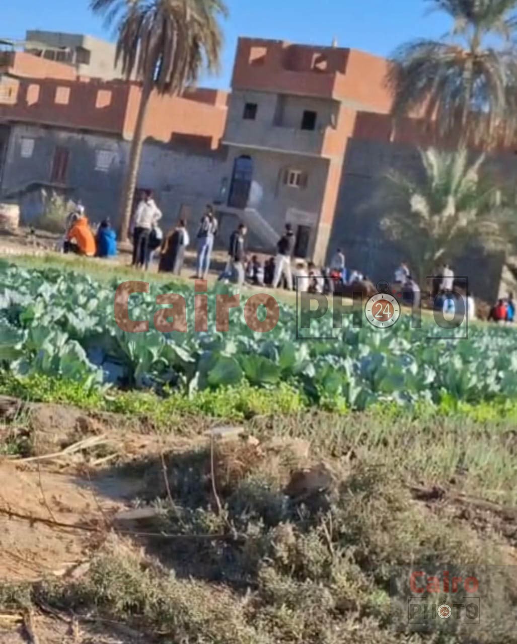 موقع الحادث