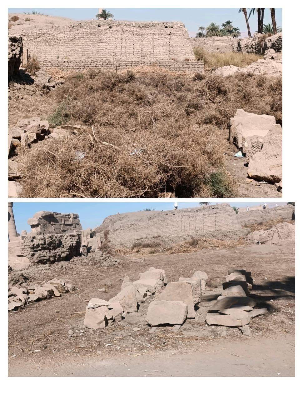 تطهير المعالم الأثرية في الأقصر