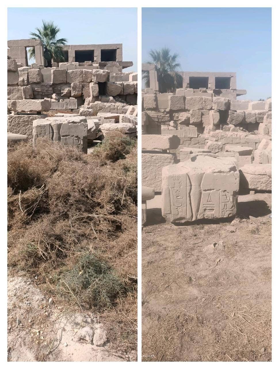 تطهير المعالم الأثرية في الأقصر