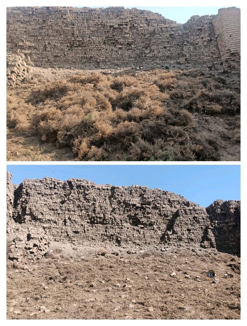 تطهير المعالم الأثرية في الأقصر