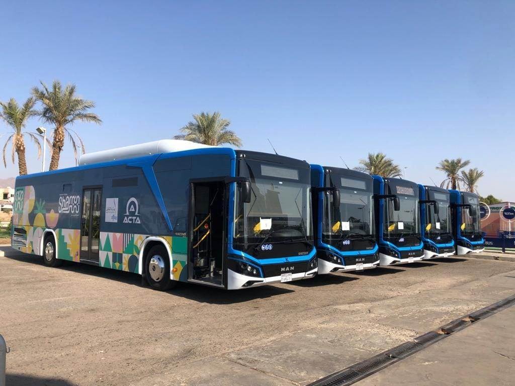 أتوبيسات النقل الداخلي بالعاصمة