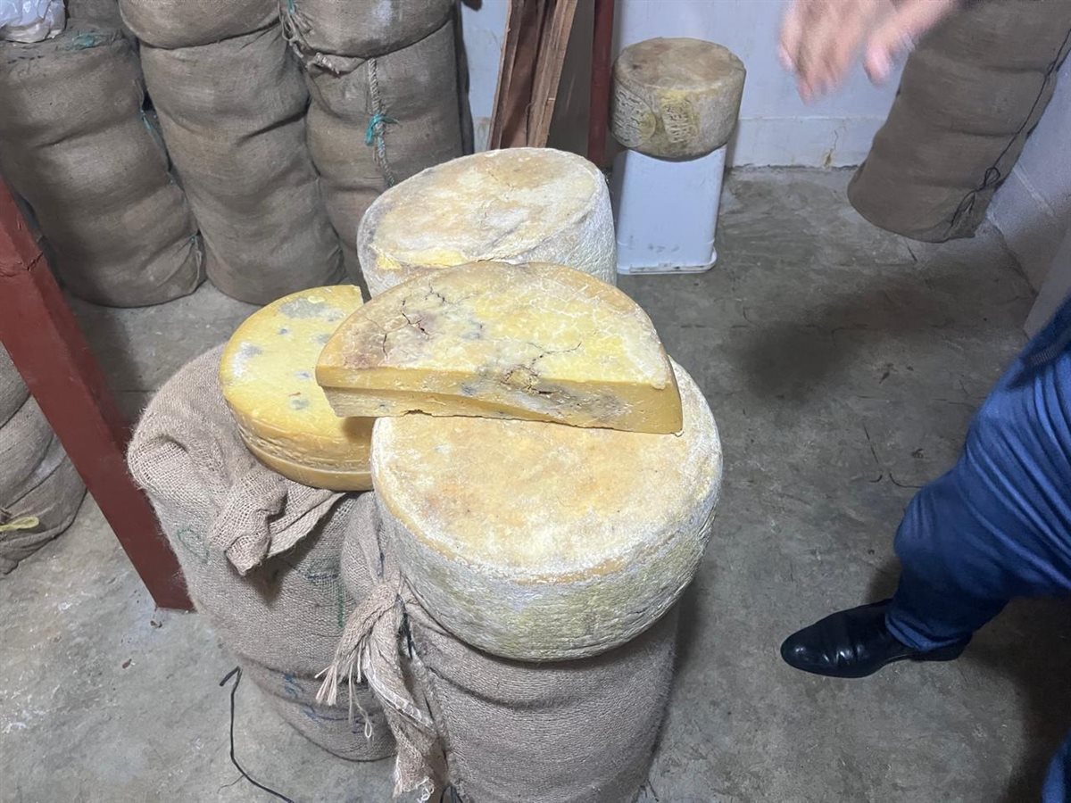 حملة تموينية مكبرة