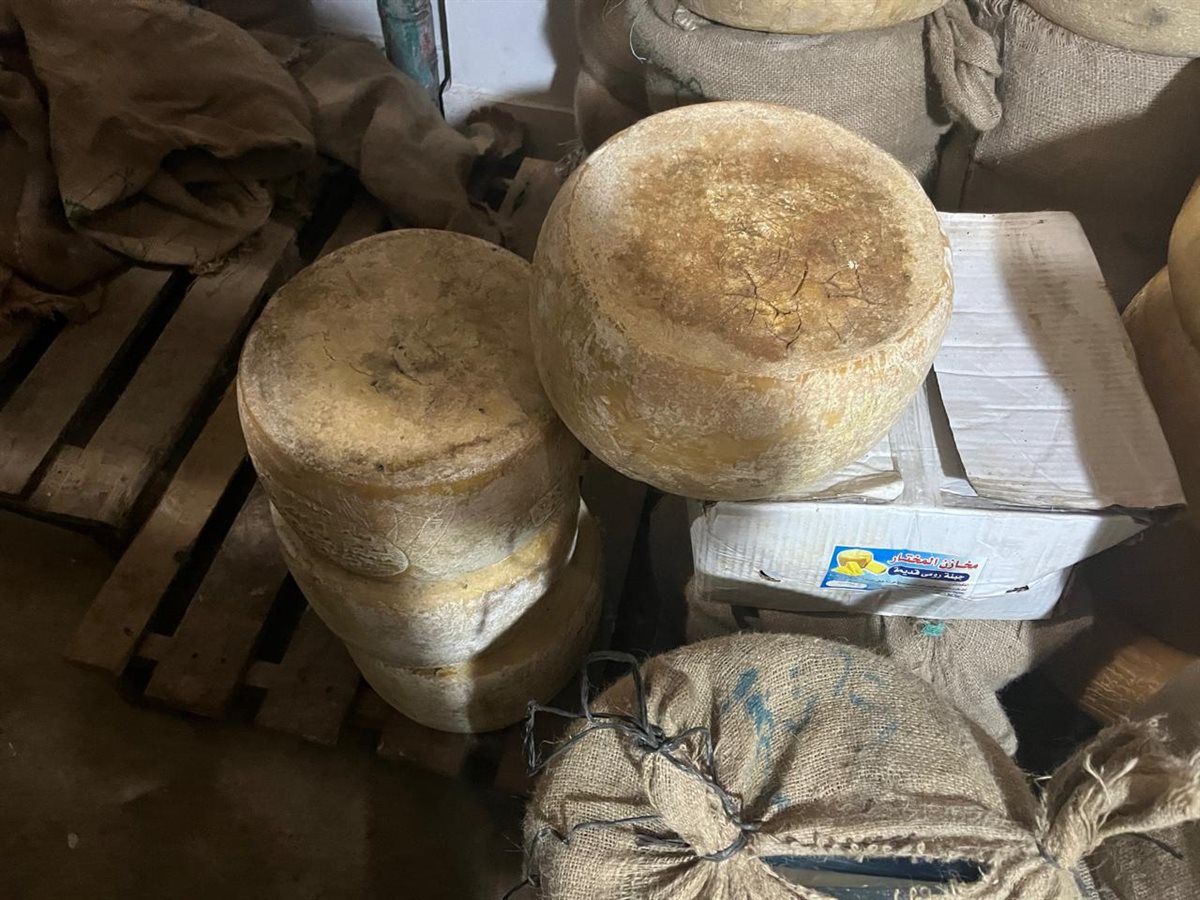 حملة تموينية مكبرة