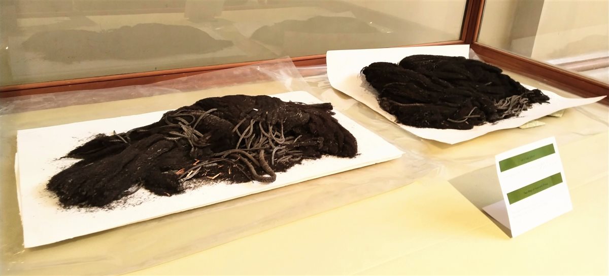 المتحف المصري يكشف لأول مرة عن باروكتي يويا وتويا