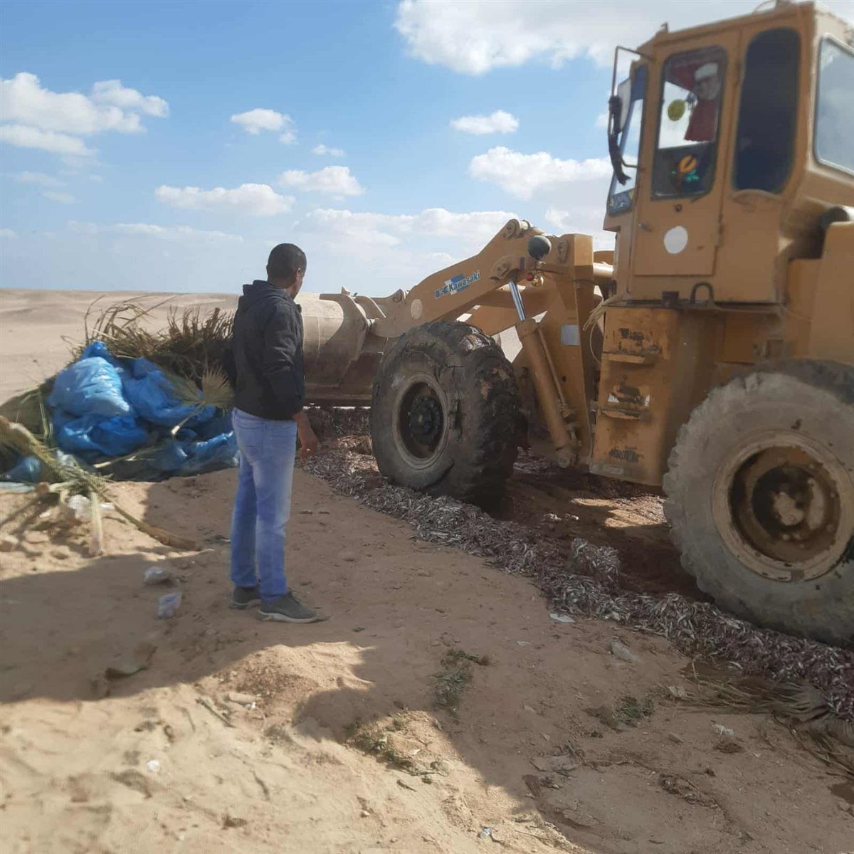 اعدام 4 أطنان من الأسماك الفاسدة بالغردقة