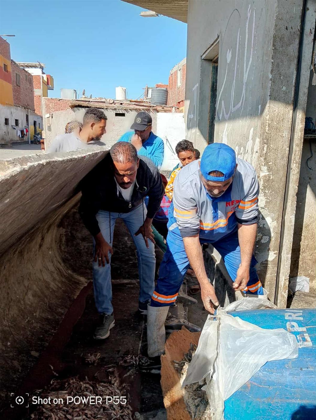 اعدام 4 أطنان من الأسماك الفاسدة بالغردقة