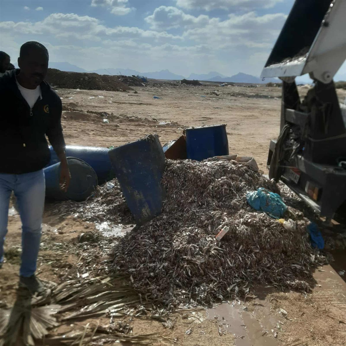 اعدام 4 أطنان من الأسماك الفاسدة بالغردقة