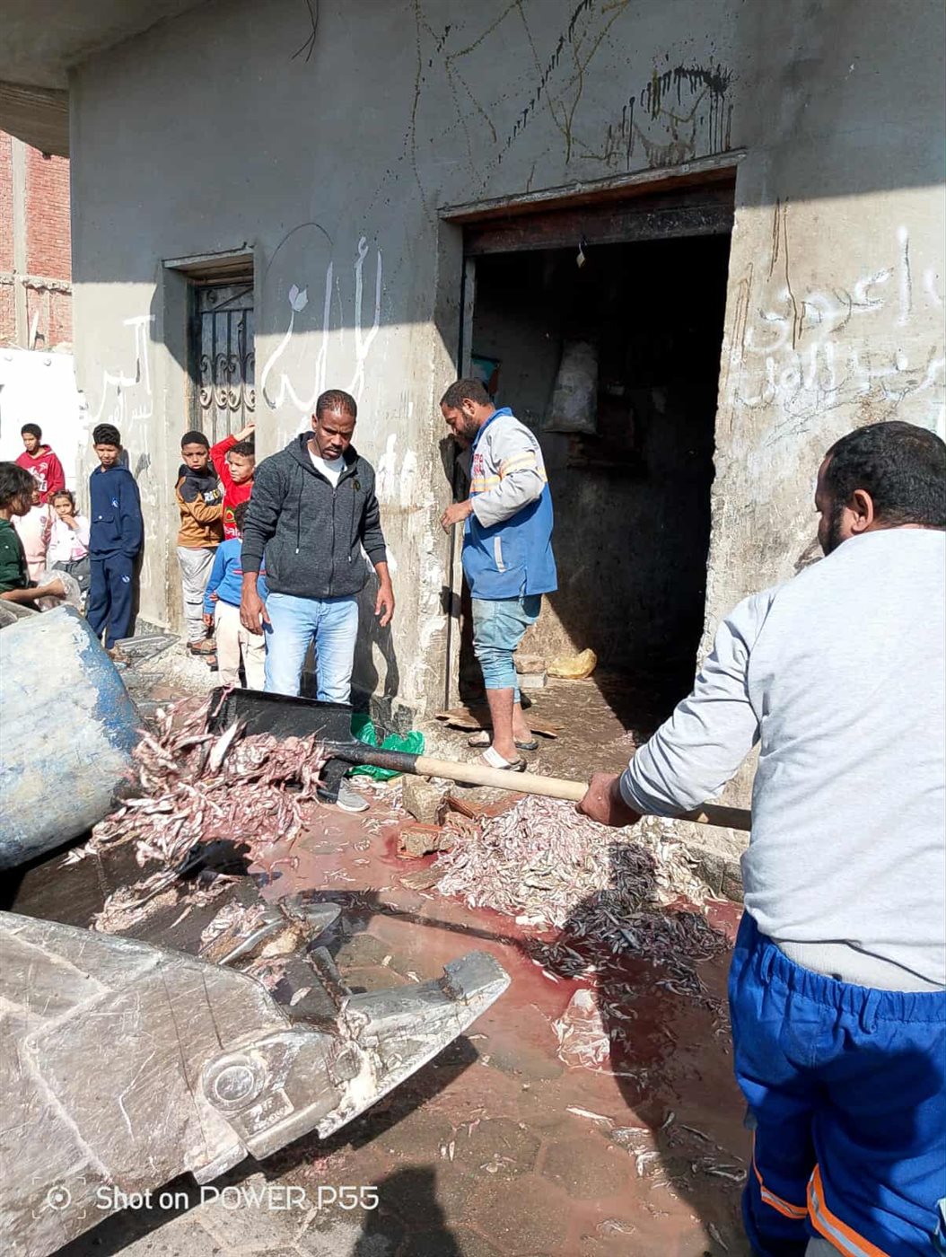 اعدام 4 أطنان من الأسماك الفاسدة بالغردقة