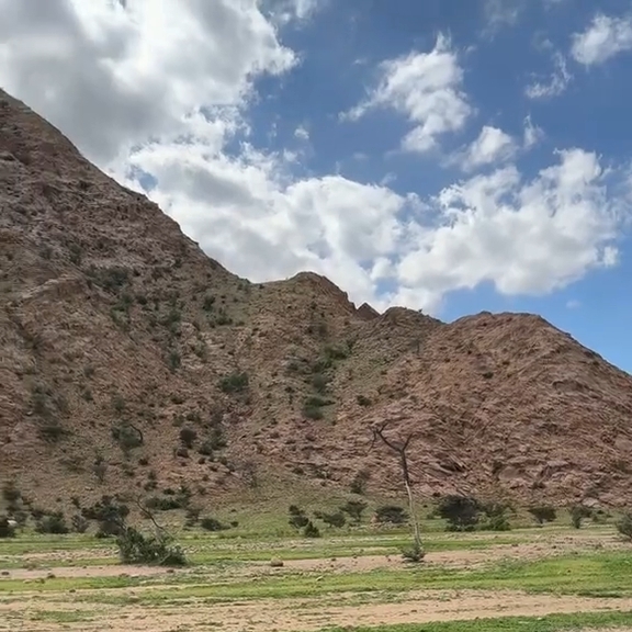 جبل علبة يكتسي بالاخضر 