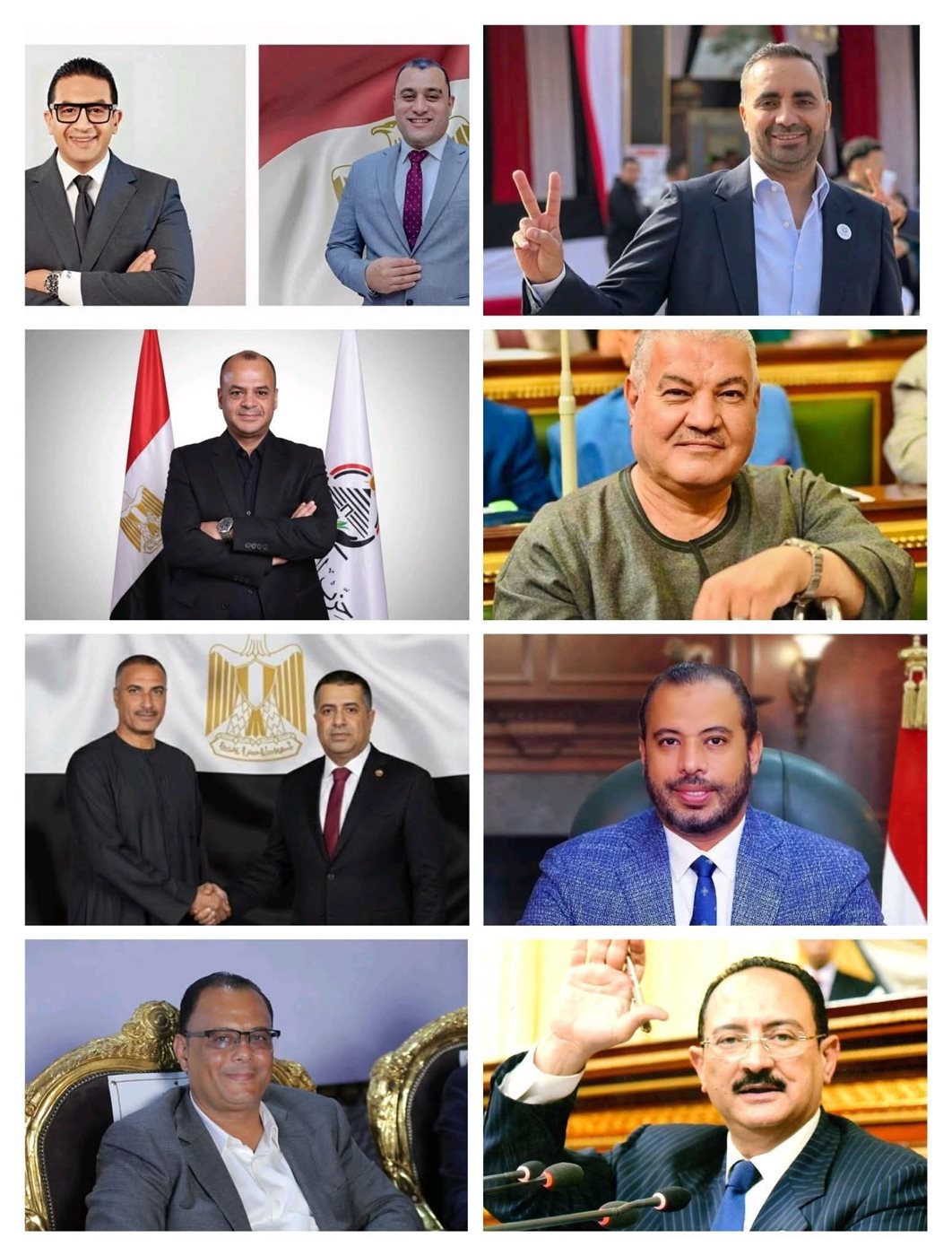 نواب المنوفية الجدد بناء على الحصر العددي