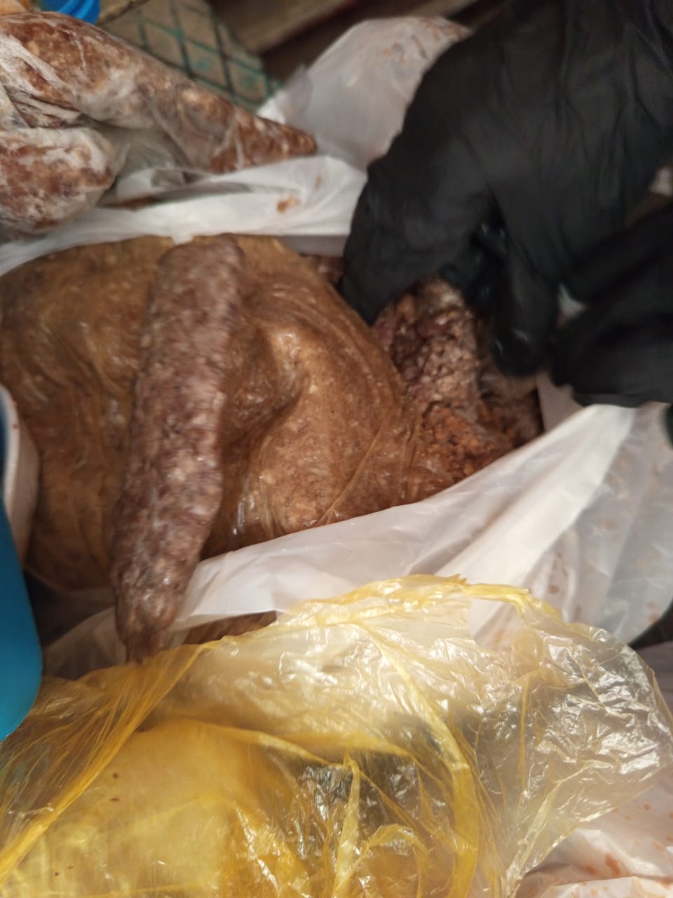 ظبط لحوم فاسدة بالأقصر