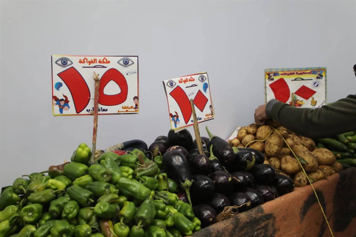 جانب من جولة محافظ الوادي الجديد