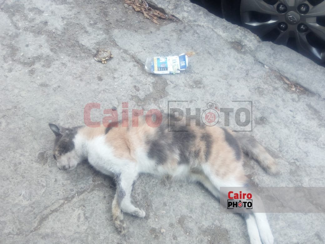 18a63367-d0ce-4eeb-adab-a708f55e74ce