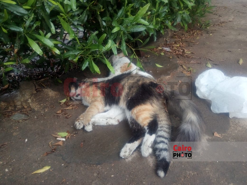 3917ffbe-b405-4276-b1a0-bd725ada7af3