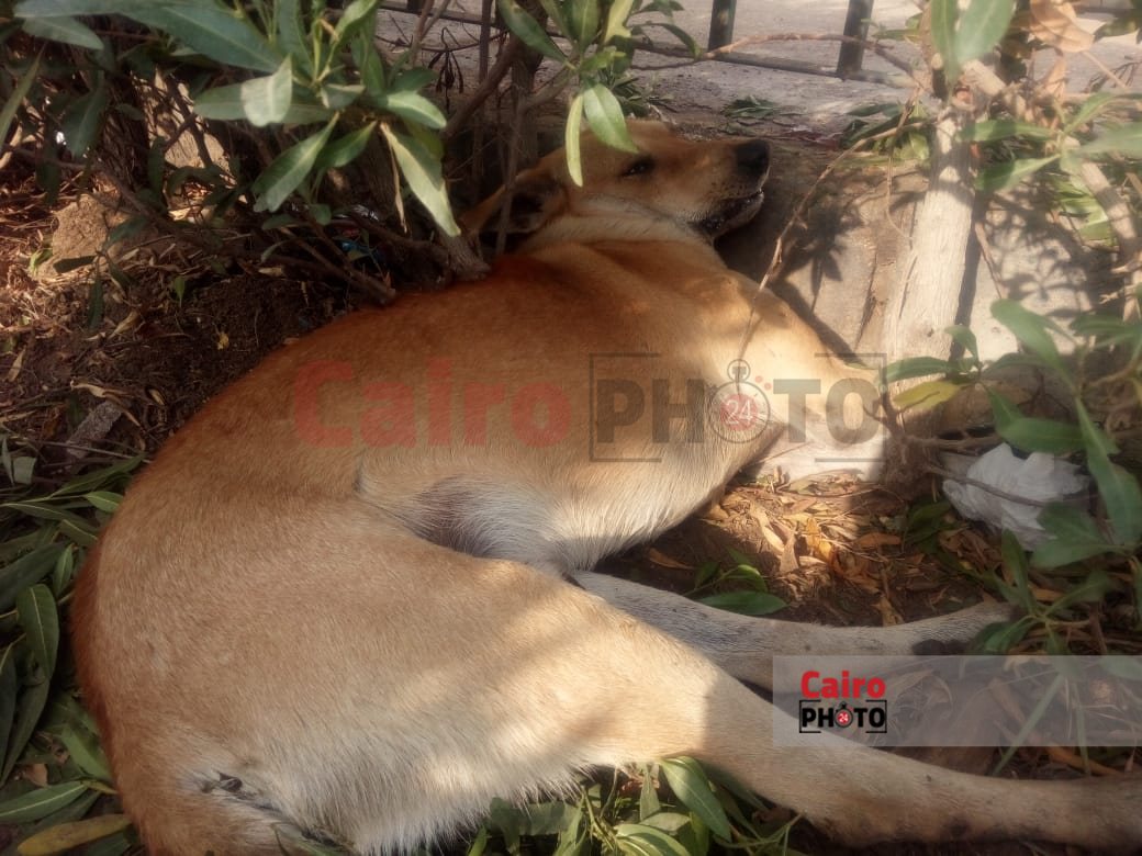 b33b4918-2151-4939-bca6-4215df01db59