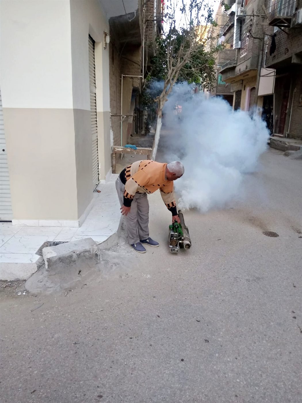 حملات تطهير مكثفة ضد الحشرات بالأقصر